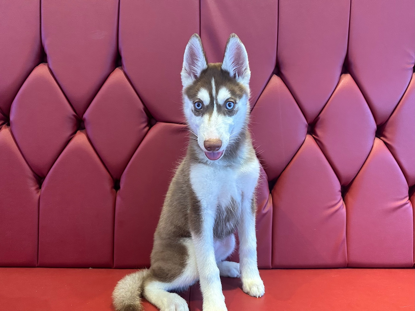 2fcd9c8c1633e.jpg
