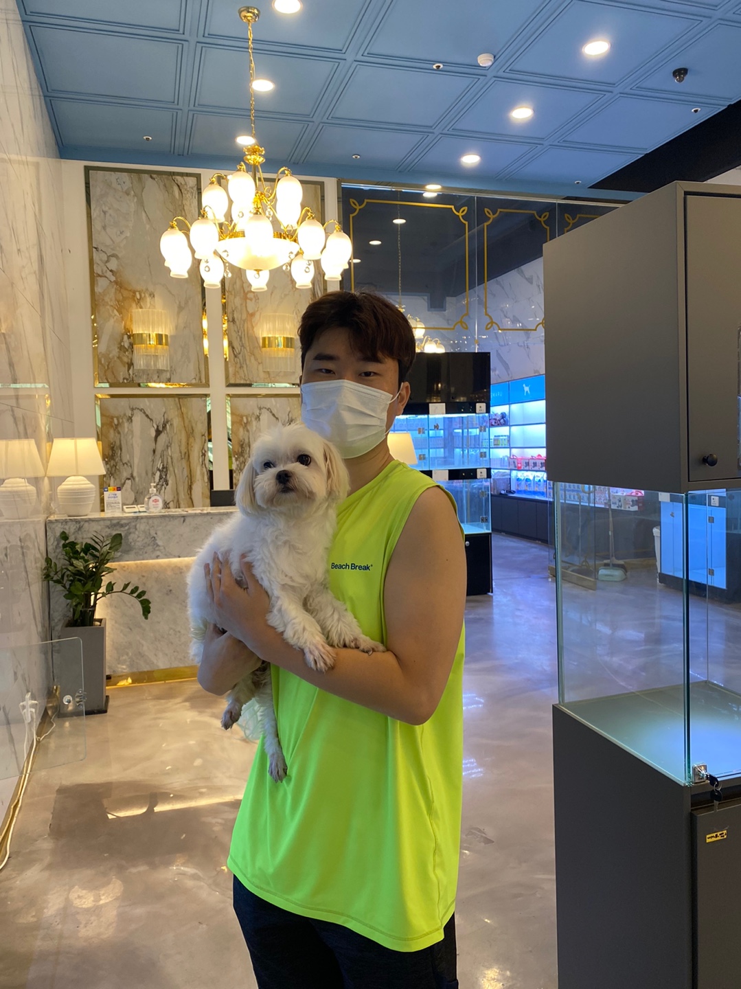 강남-2021-0044] 말티즈 남삼식 책임분양 청주고양이무료분양 동탄고양이무료분양 위례고양이무료분양 청라고양이무료분양 부천고양이무료분양  원주고양이무료분양 광주고양이무료분양 부산고양이무료분양 대구고양이무료분양 창원고양이무료분양 울산고양이무료분양 화명 ...