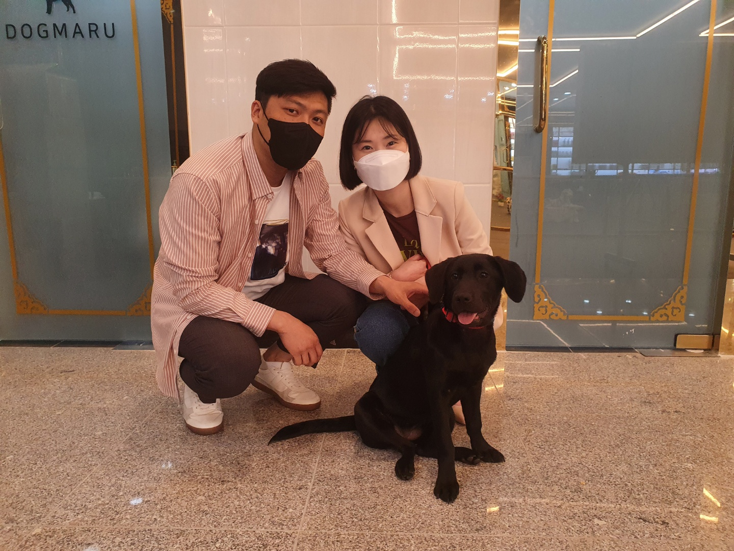 안양-2021-0064] 래브라도리트리버 경자 책임분양 코카스파니엘분양가격 폼스키분양가격 폼치분양가격 폼피츠분양가격 푸숑분양가격  고양이분양가격 랙돌분양가격 러시안블루분양가격 먼치킨분양가격 브리티쉬숏헤어분양가격 노르웨이숲분양가격 데본렉스분양가격 뱅갈 ...