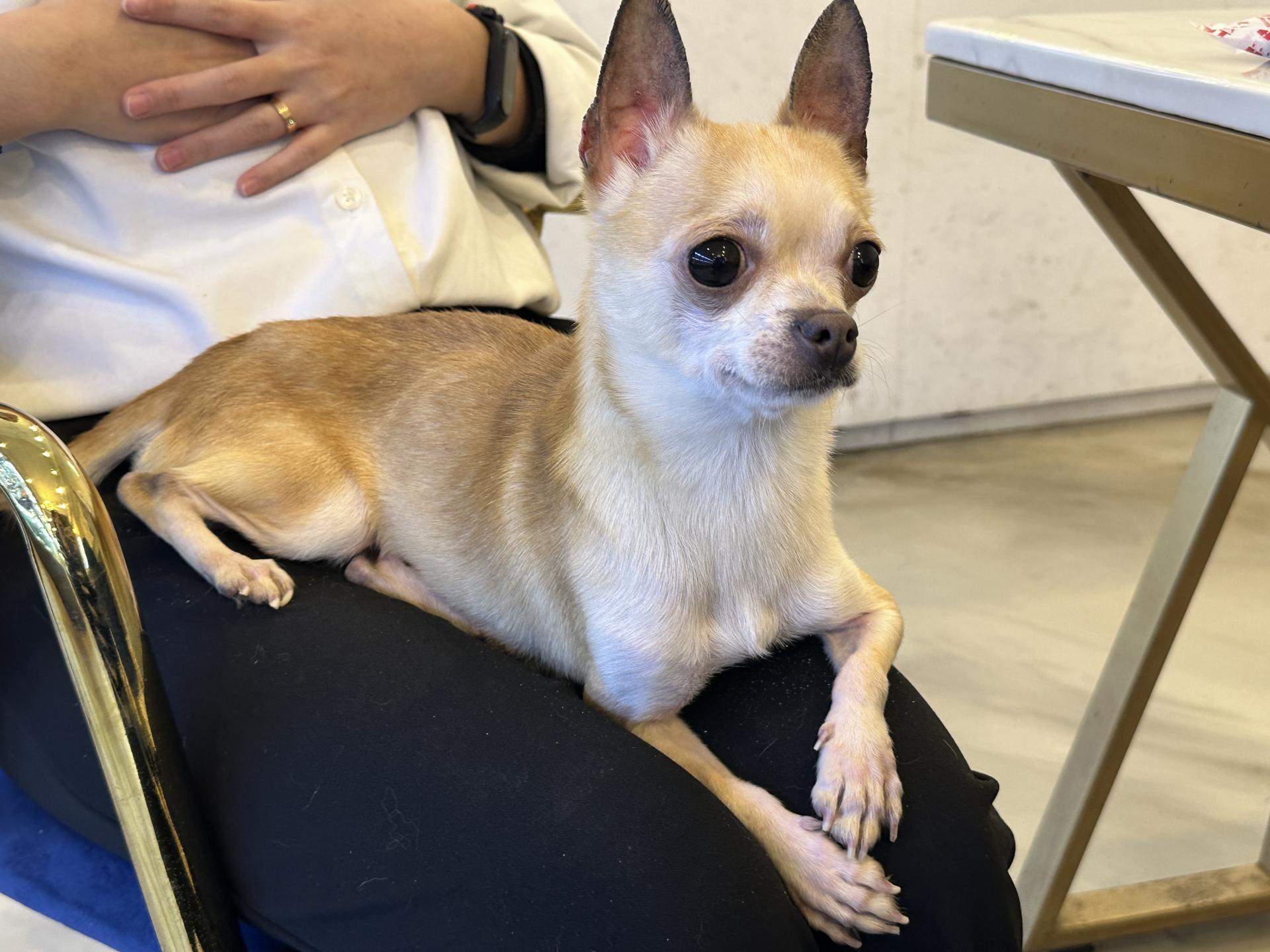 48cd1c070620a.jpg