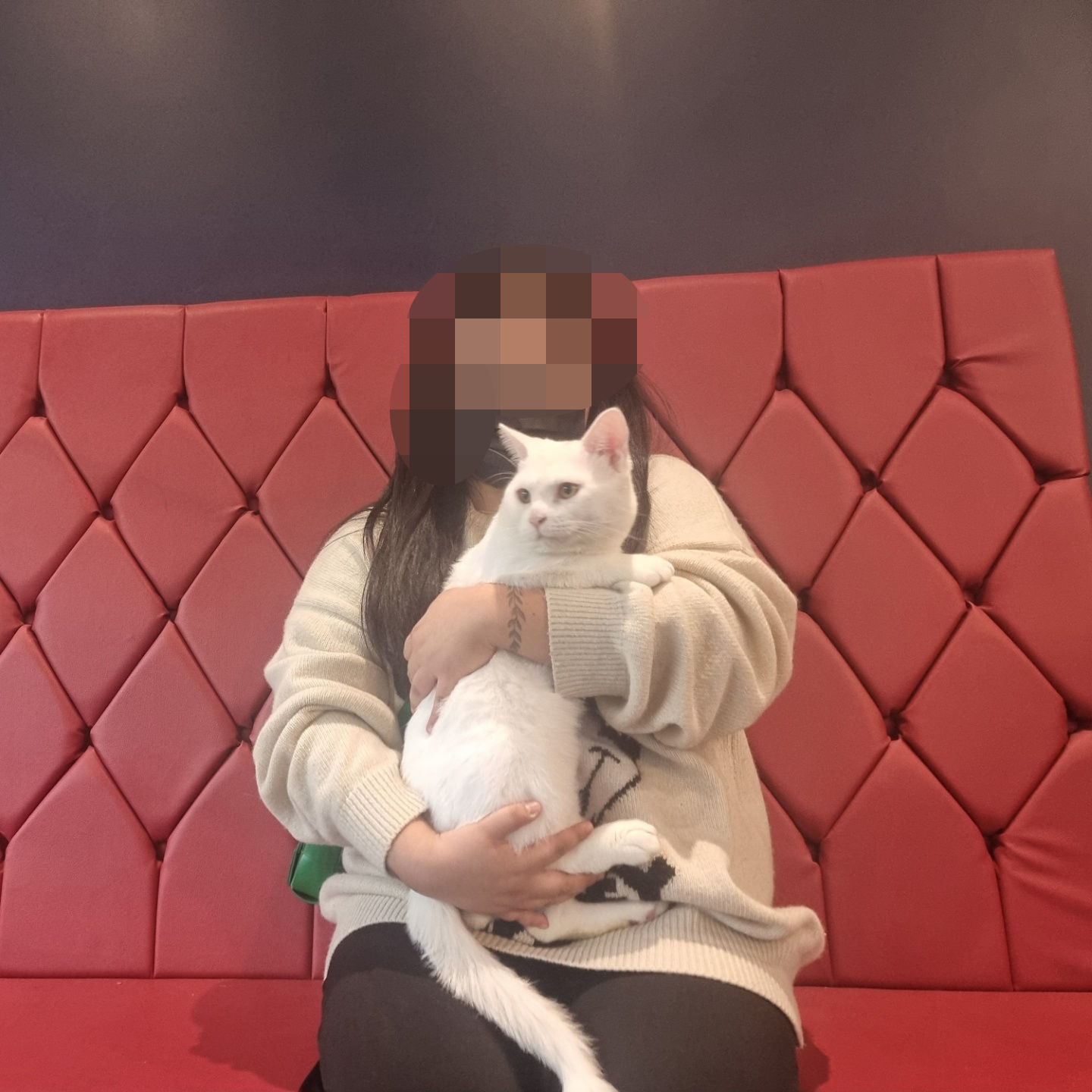686f435f25eea.jpg