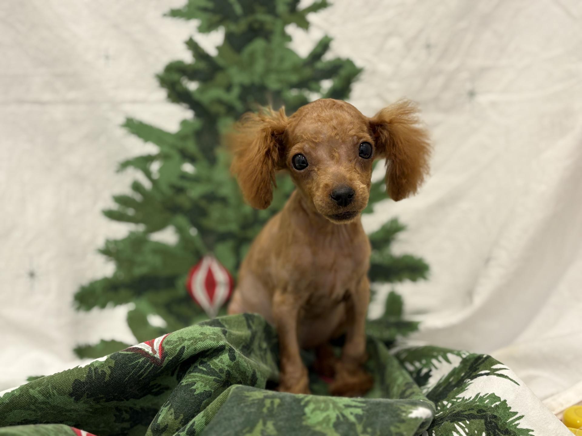 6aa96ed0986d2.jpg