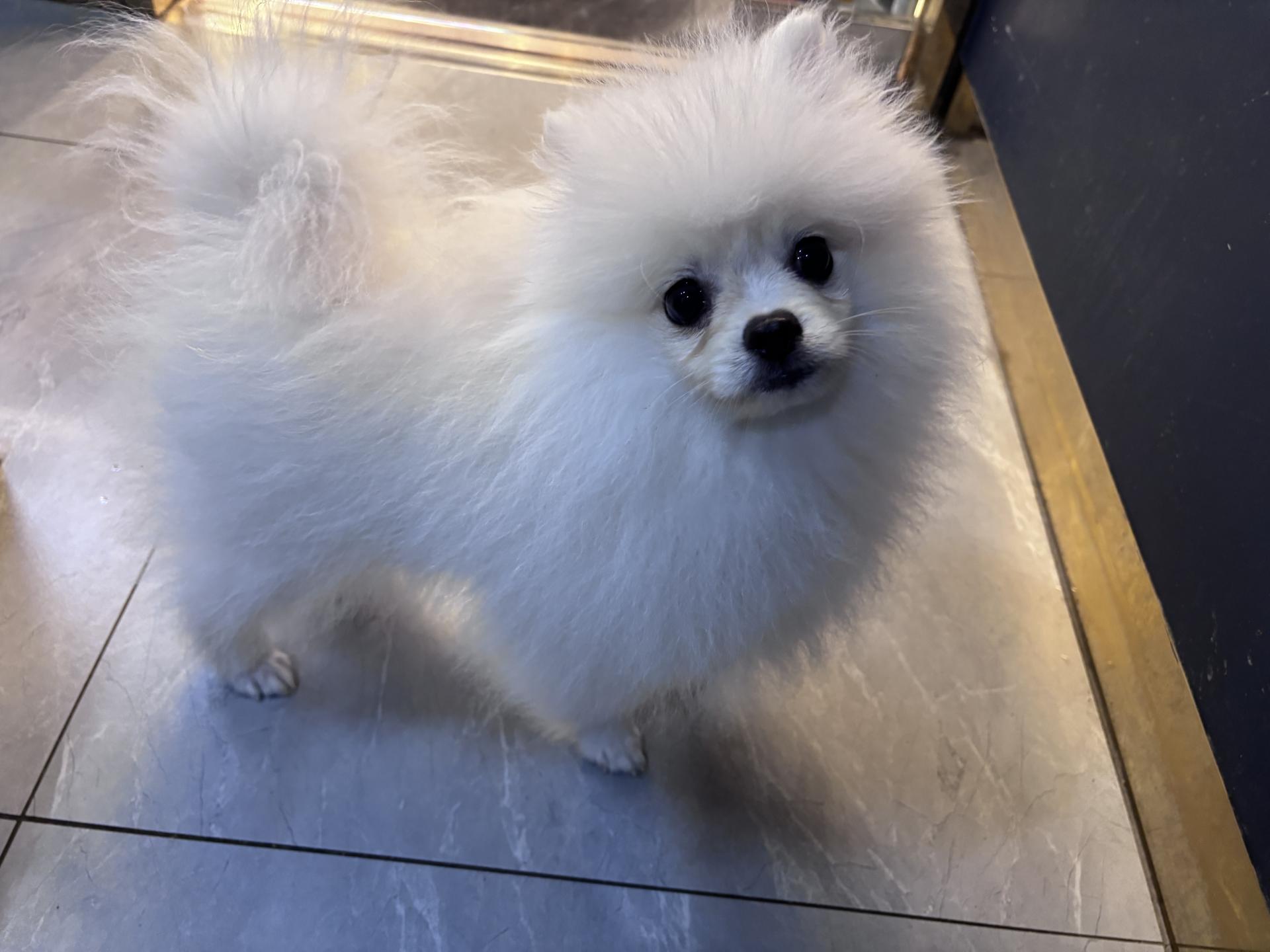 7755e5284d1c6.jpg