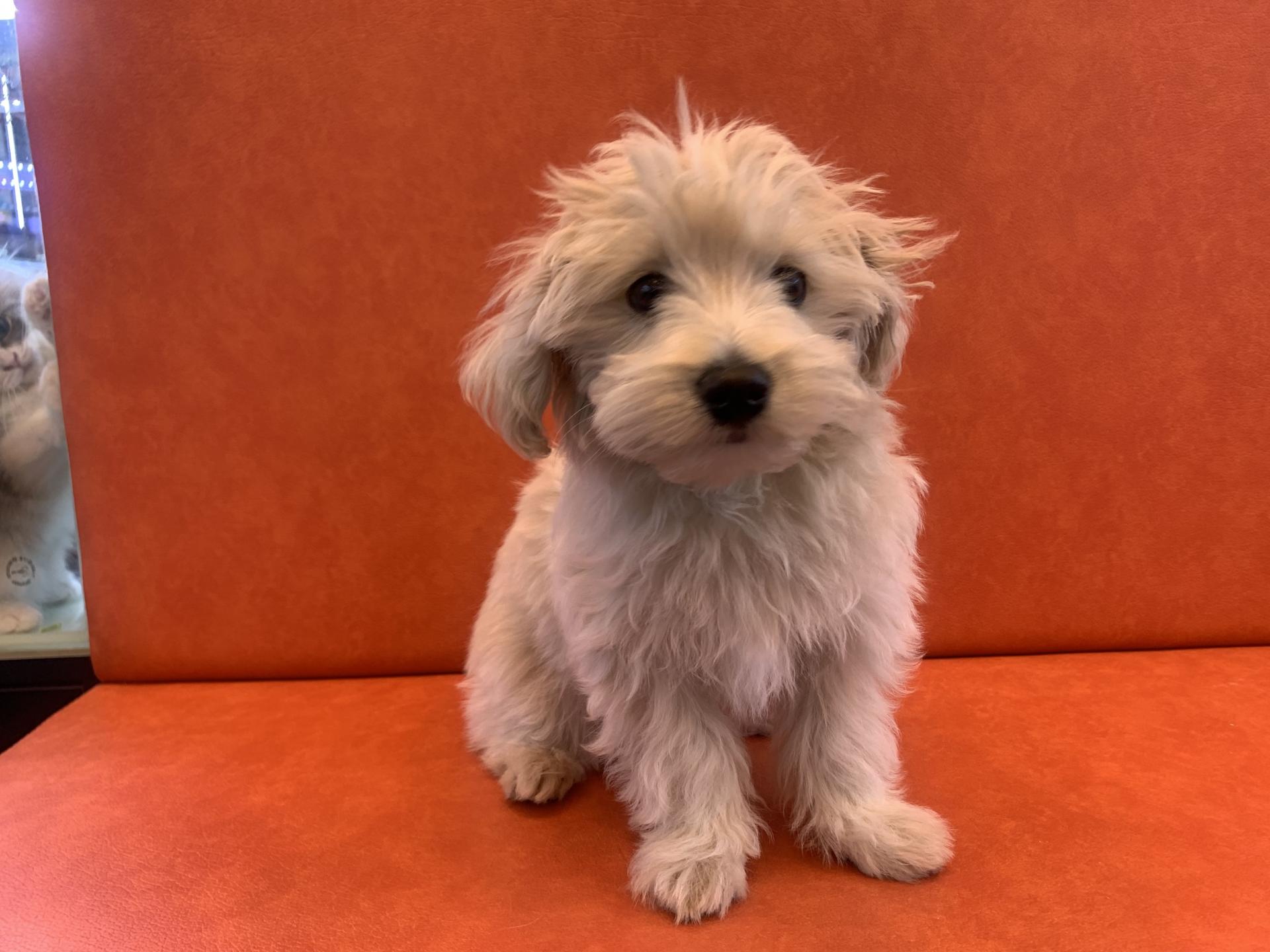 7d0b9c5f99ac4.jpg