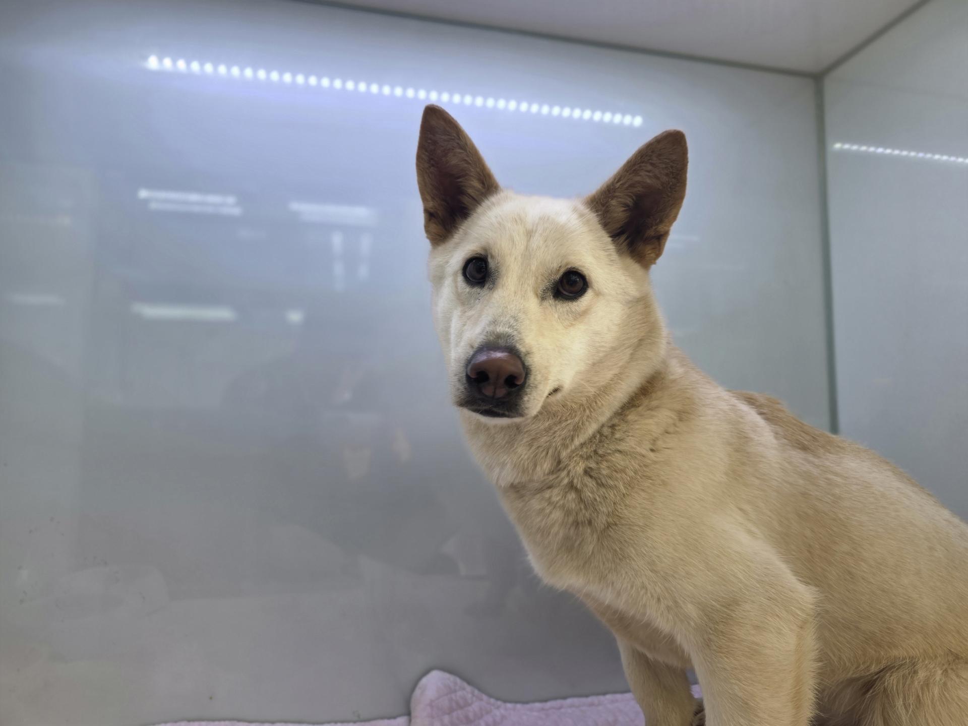 a56fa992910d7.jpg