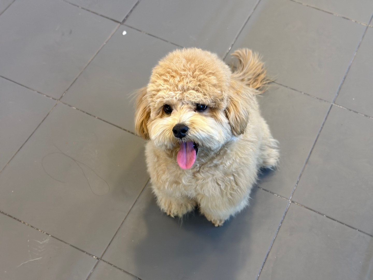 a750f4155c490.jpg