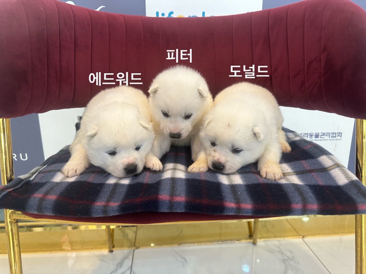 a7d5ddb5e6bc6.jpg