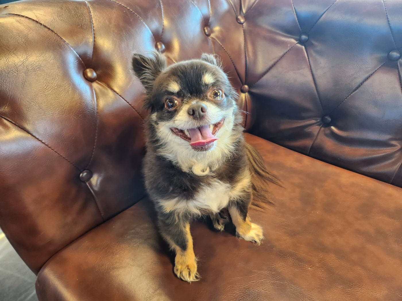ae1a360630d9d.jpg