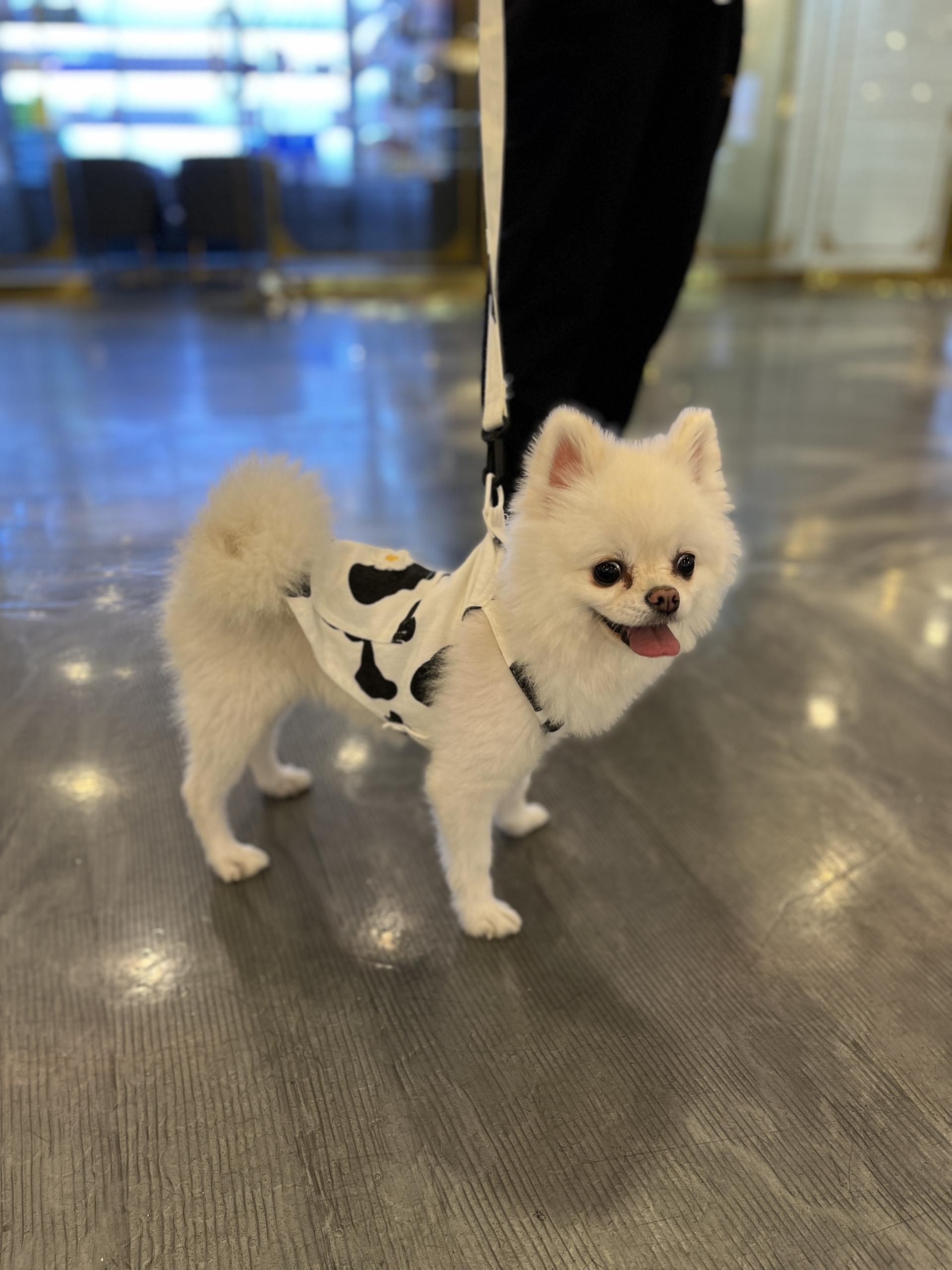b0b575c3608ac.jpg