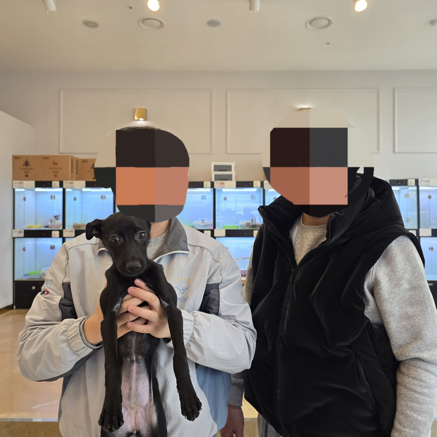 ba31aa36e4a4e.jpg