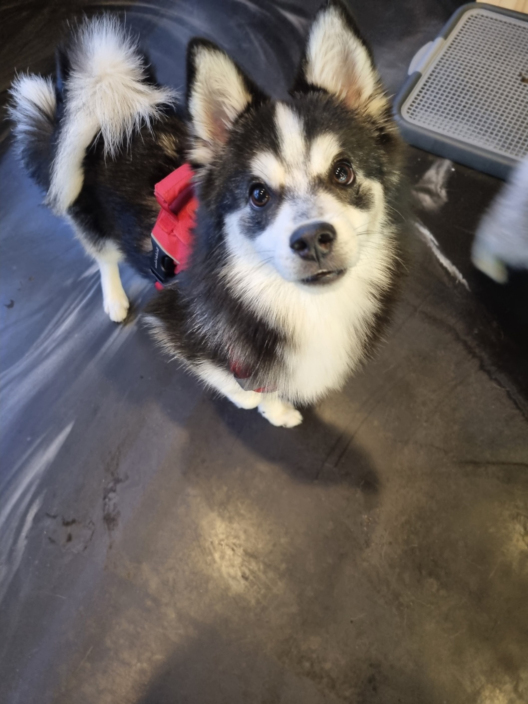 d0db0401d578f.jpg