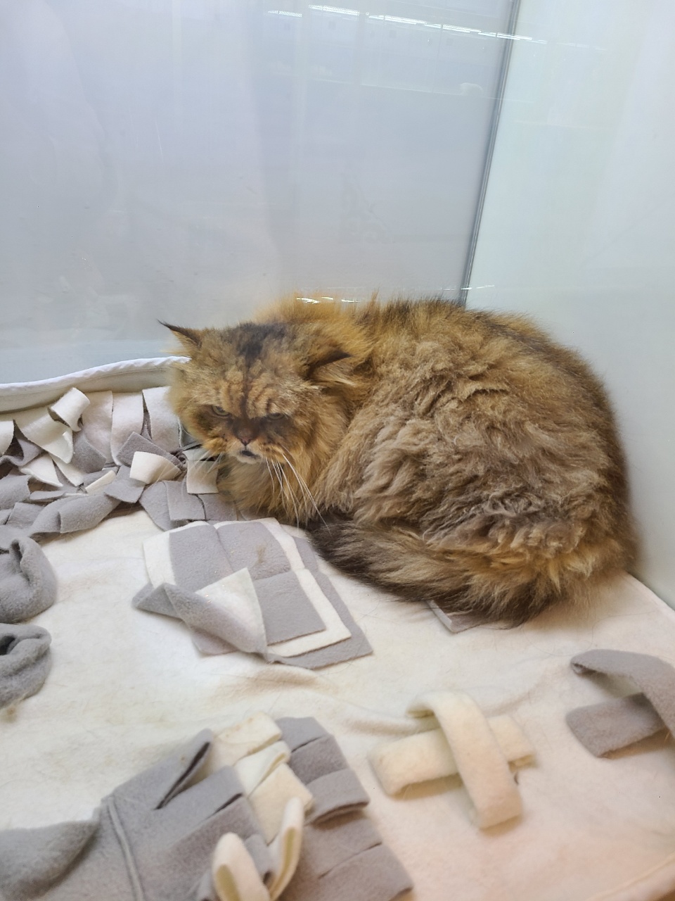 e146835e9077c.jpg