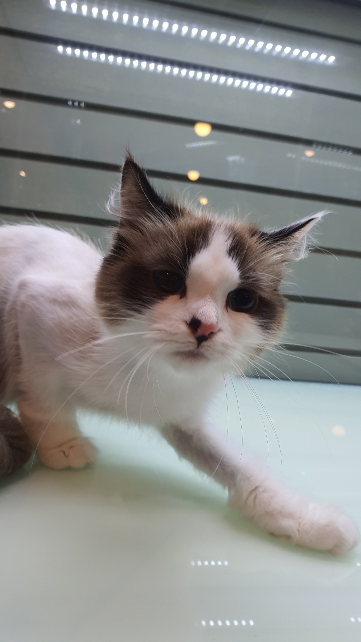 fa562a3aa606f.jpg