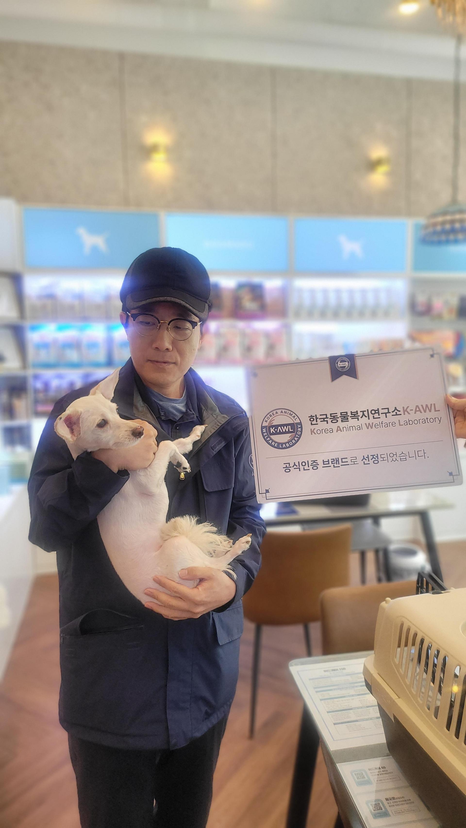 말티푸 사랑이 아메리칸코카스파니엘 꼬동 오드아이고양이 가필드고양이 그레이트피레니즈 말티푸성격 아기강아지 다리짧은강아지 다리짧은 ...