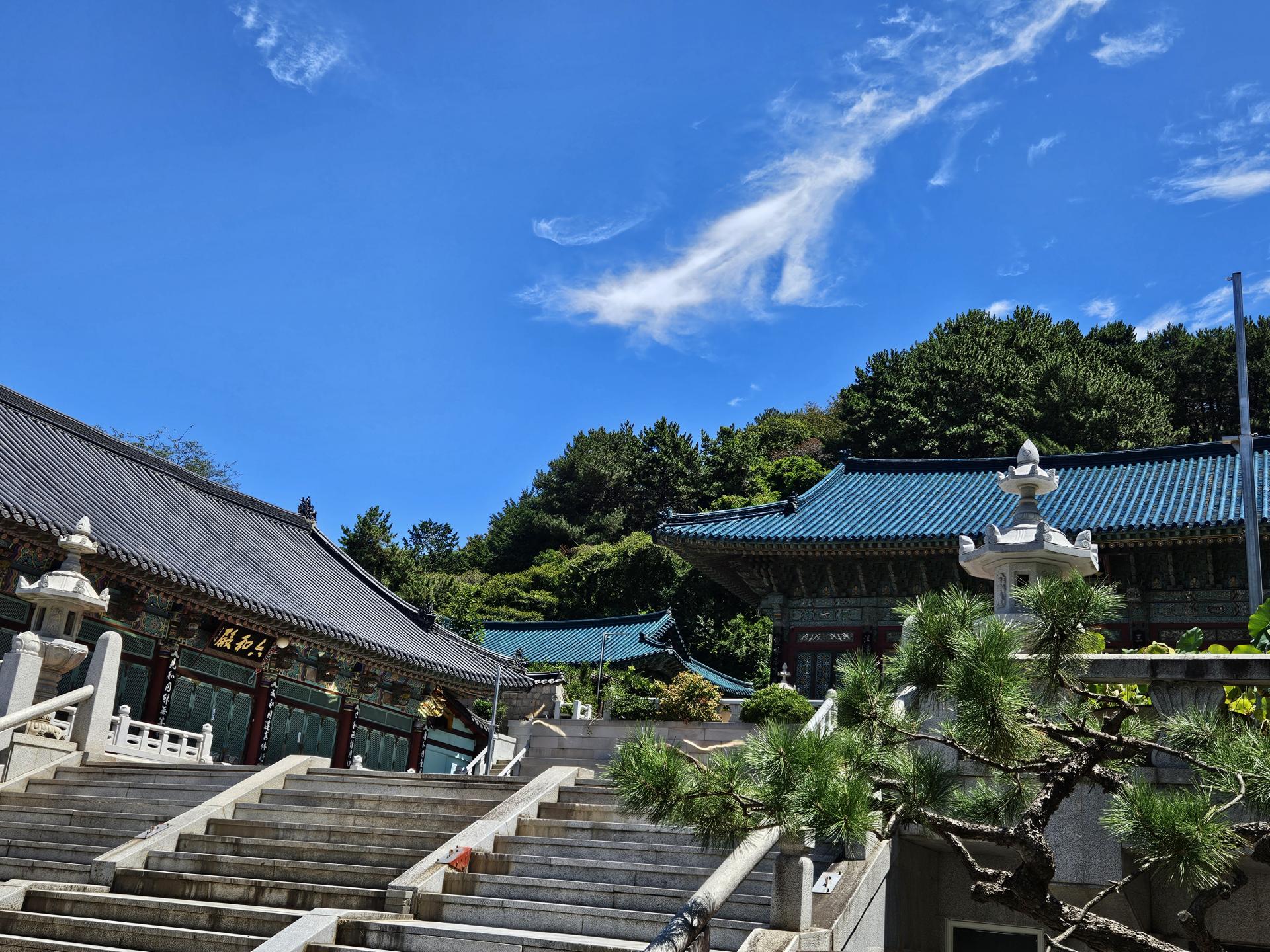6ab518119cf97.jpg