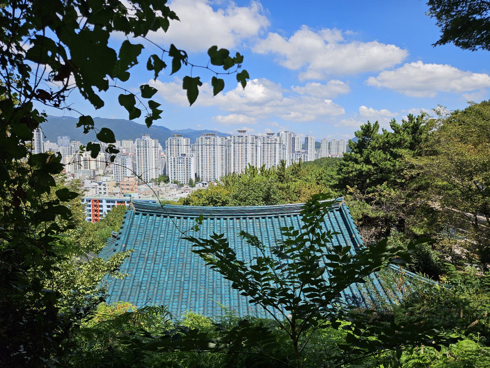 b92f79ade765a.jpg