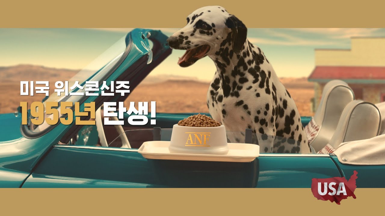 [유통기한 23.3.1]ANF 캣 식스프리 어덜트 6kg 상세 이미지 3