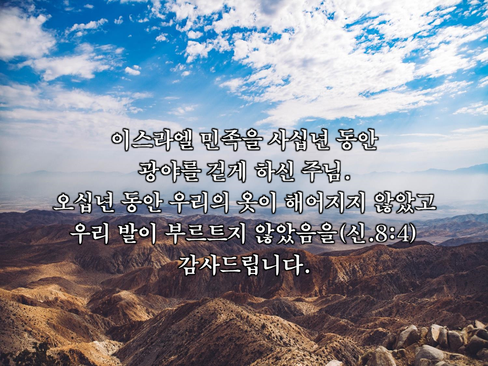 5cbb1d8766aa8.png