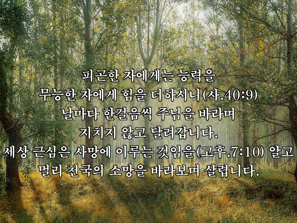 5cbb1e16c26d8.png