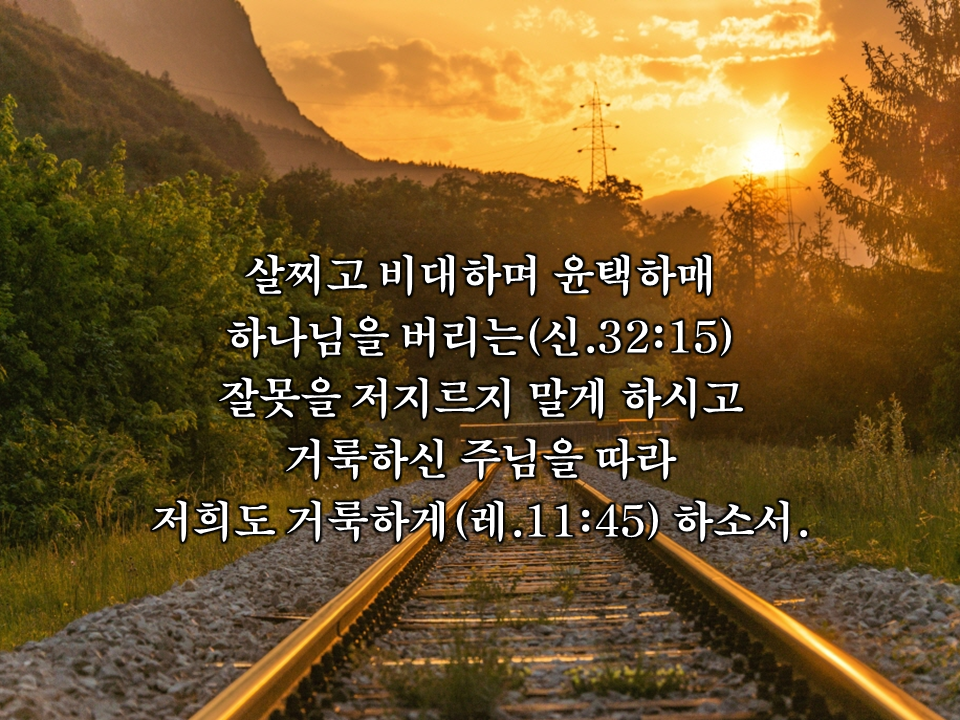 5cbb1e27172cb.png
