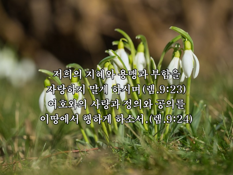 5cbb1e50911e4.png