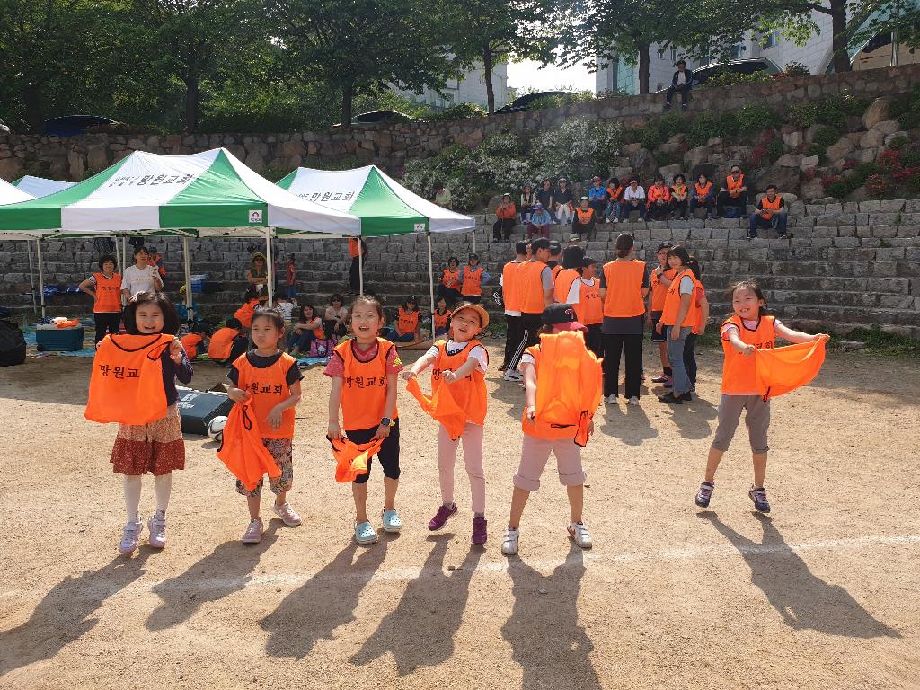 5cd9537ac29d2.jpg