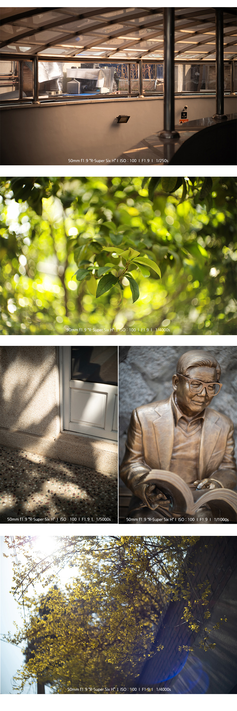 Light Lens Lab M 50mm f1.9 R-Super Six Silver [고대비]