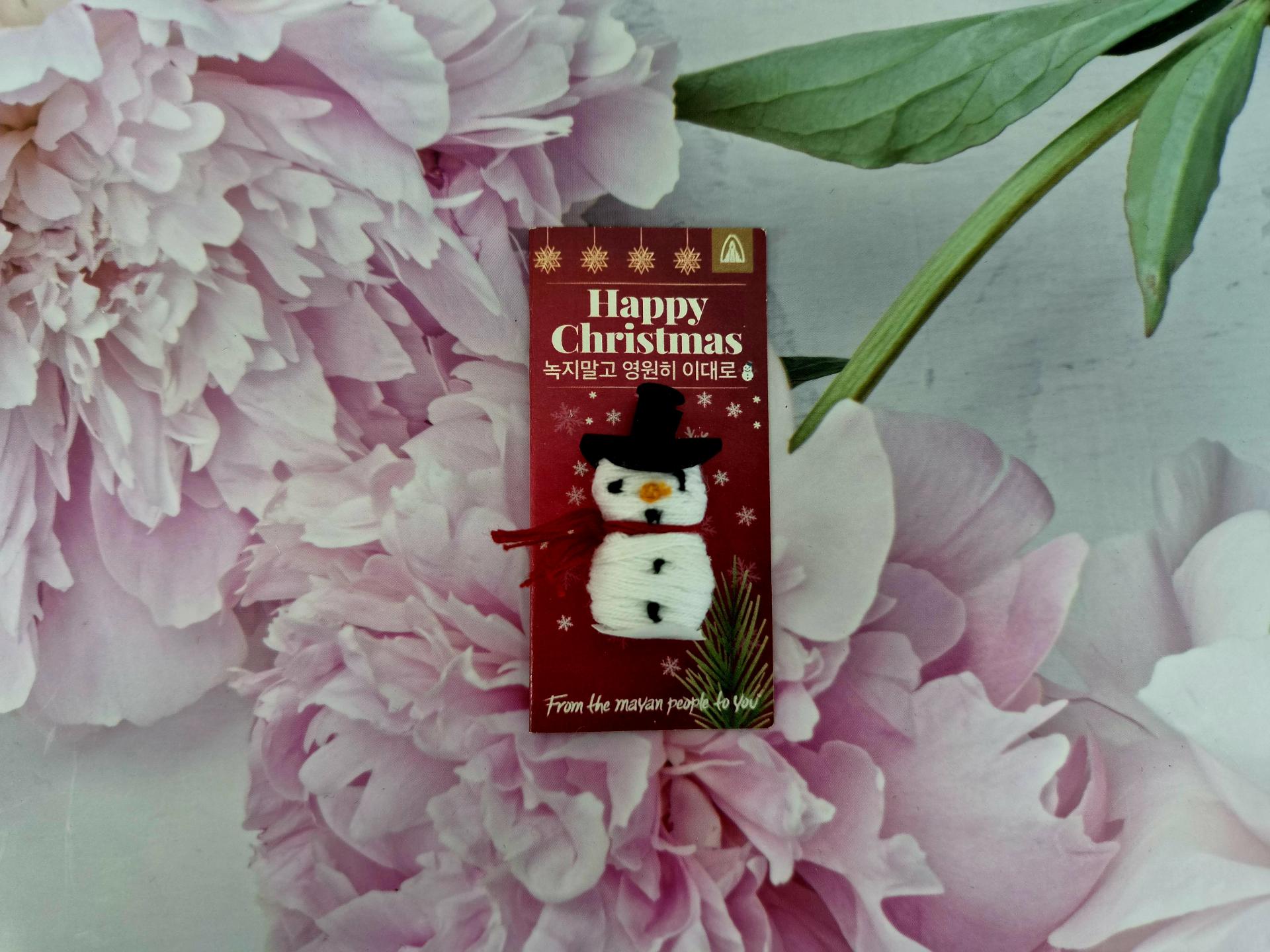 생활속의 걱정인형 🎄 메리 크리스마스