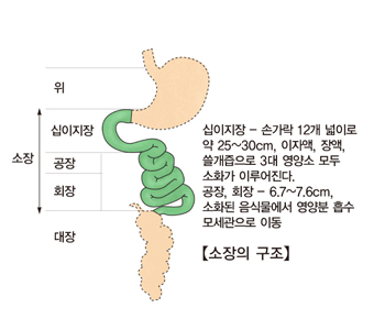 2e5d564217c9c.png