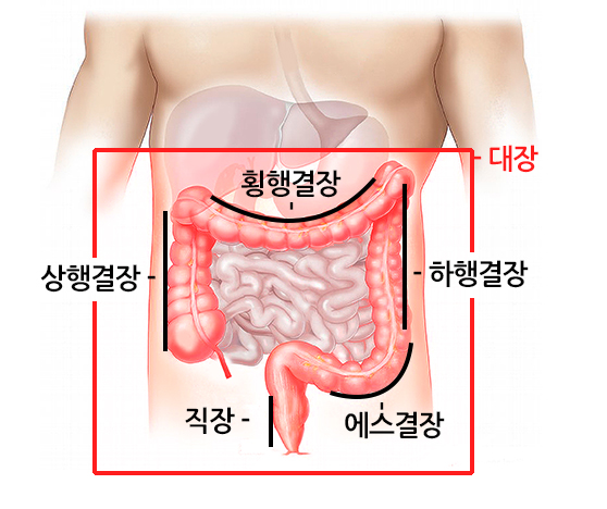 519d885a16f88.png