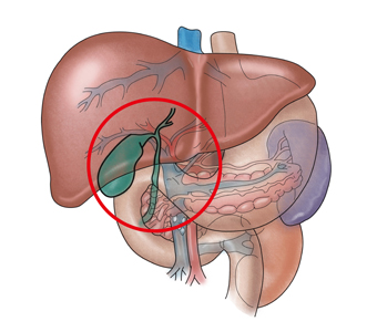 65fa371a8d475.png