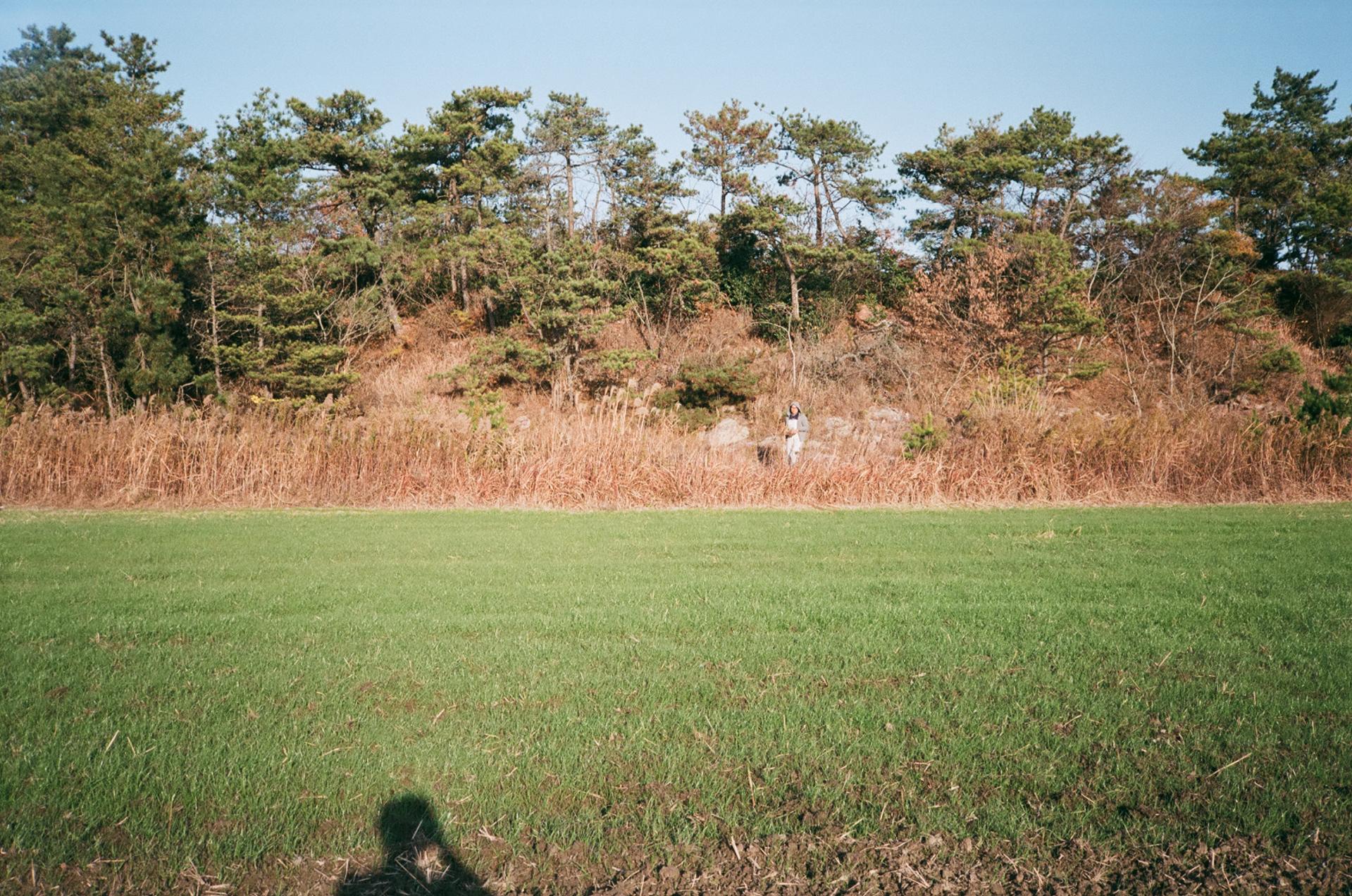 ab64ba38e99f4.jpg
