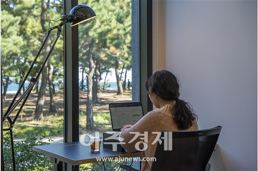 솔숲이 내다보이는 공유오피스에서 업무 중인 모습 [사진=더웨이브컴퍼니]