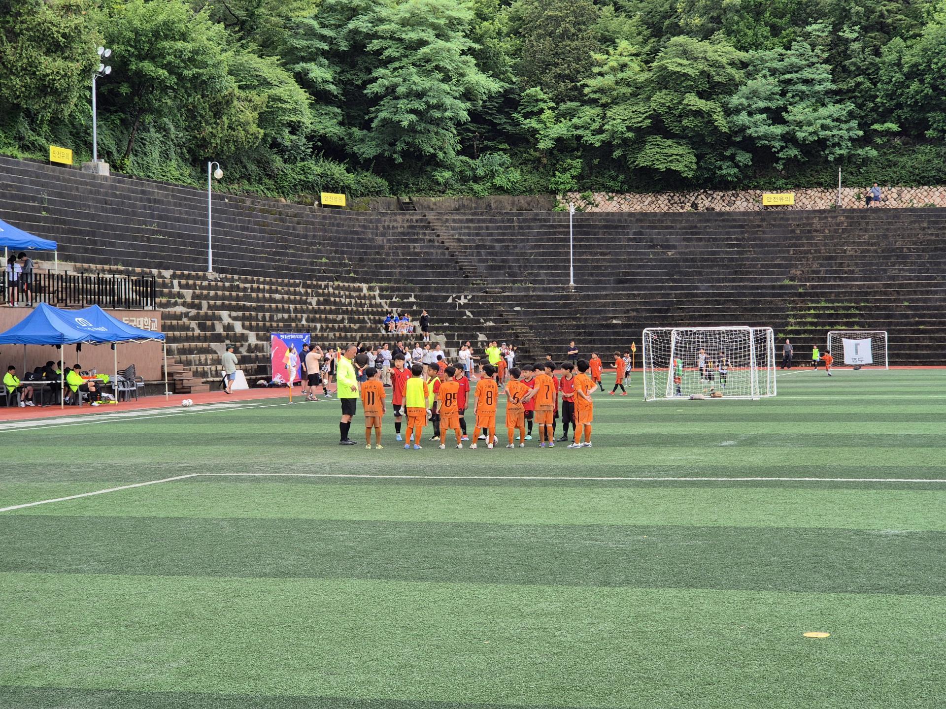 2945dfaccfa18.jpg