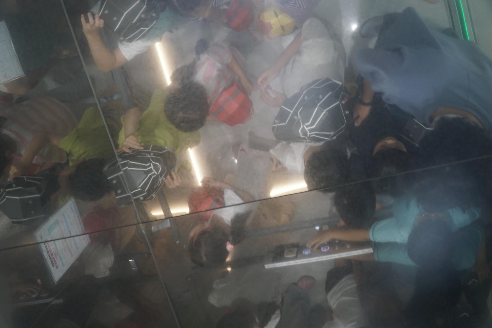 d82a83a78a4b7.jpg