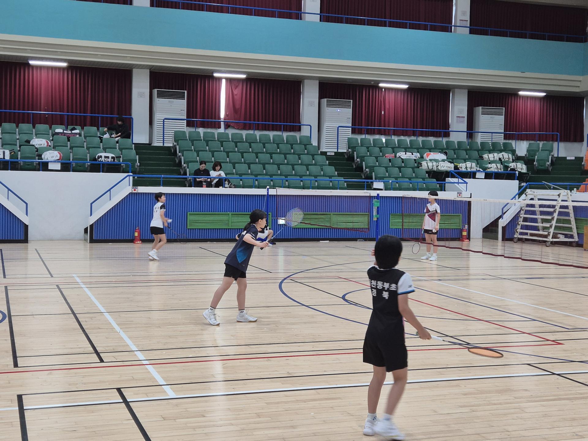 d9067e95755df.jpg