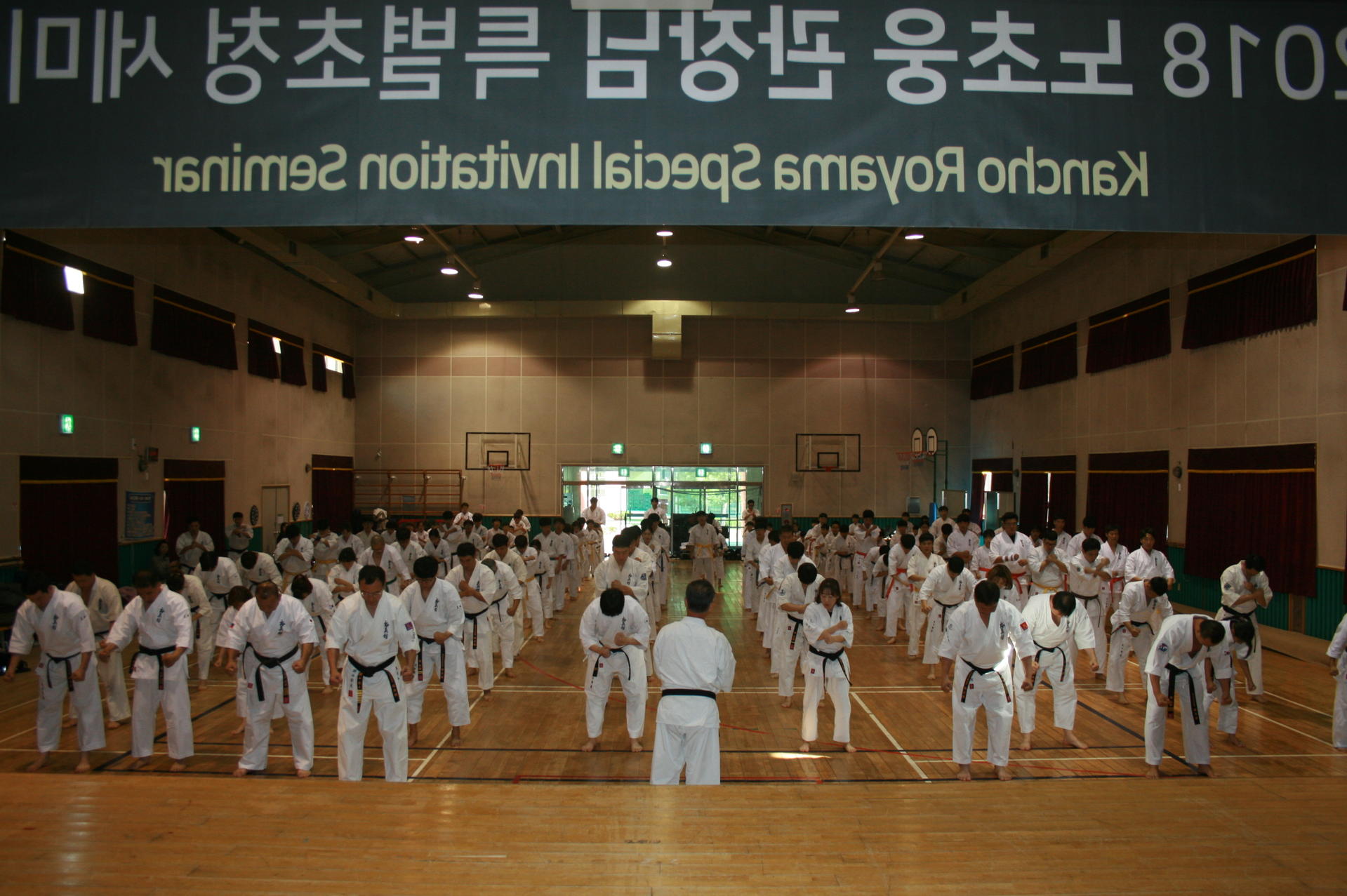 9a6871adce263.jpg