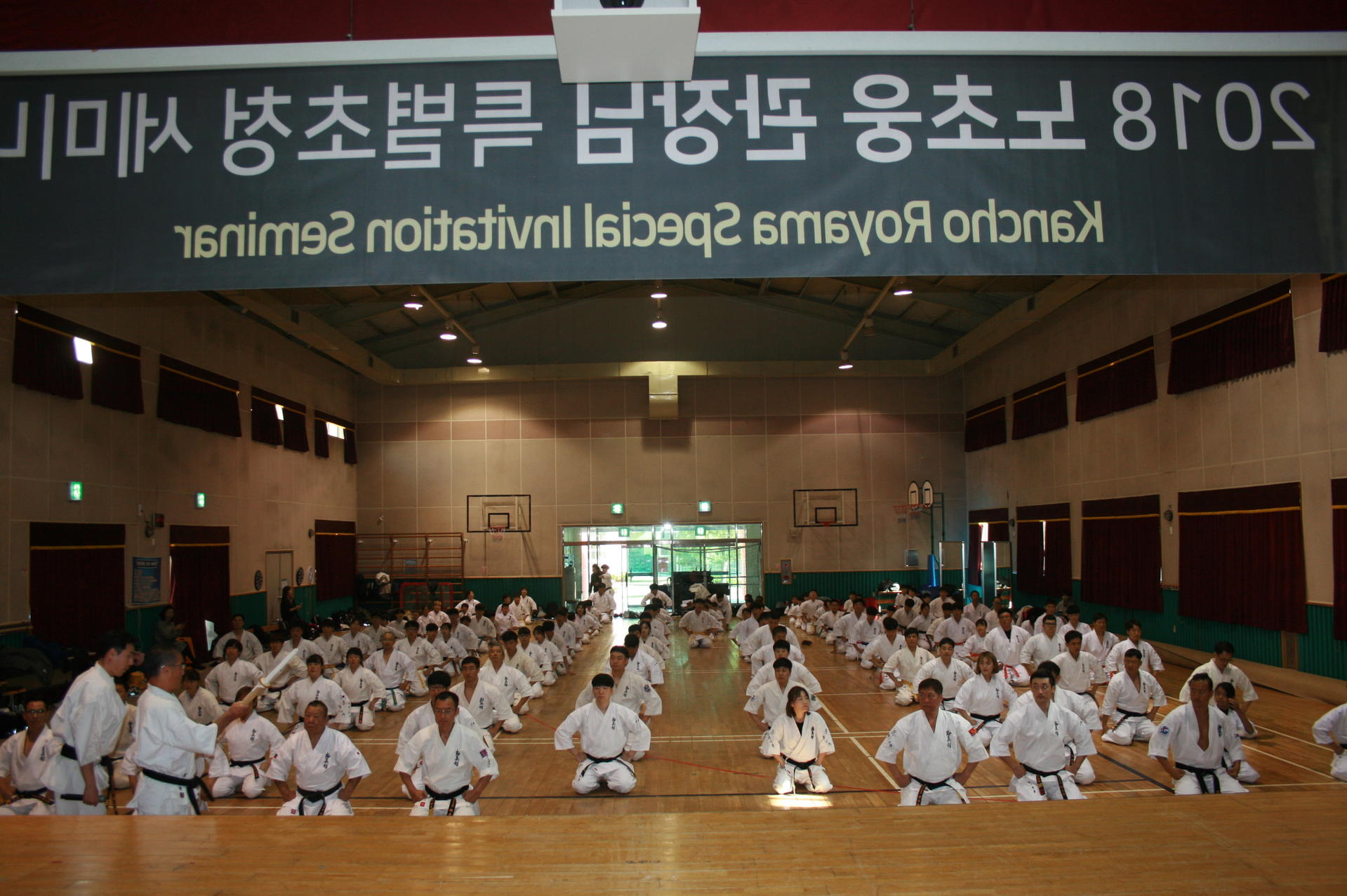 d23a9d73ad8ec.jpg