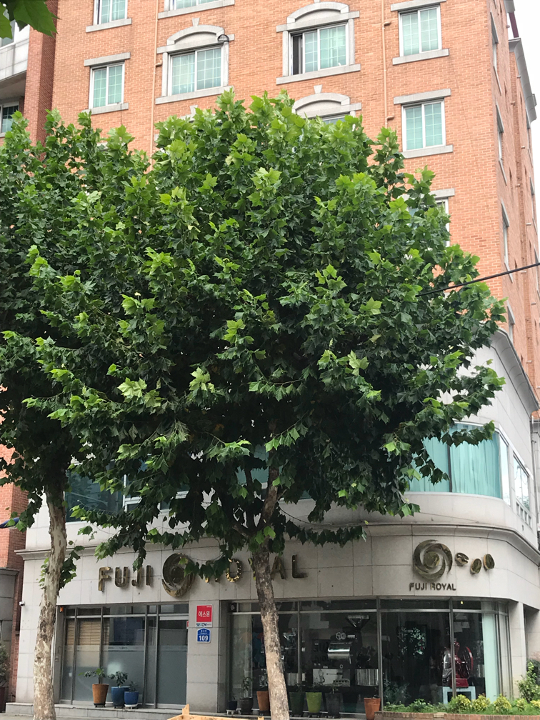 선일상사 이미지