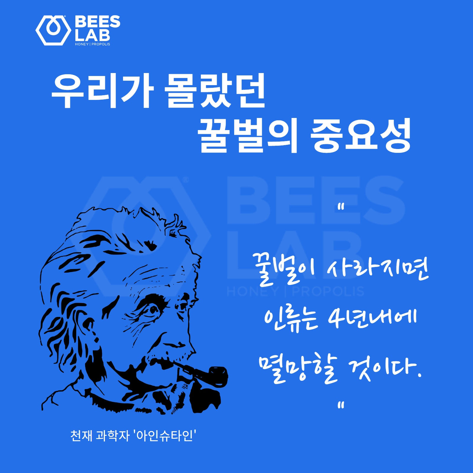 c2dc88da3c52a.jpg
