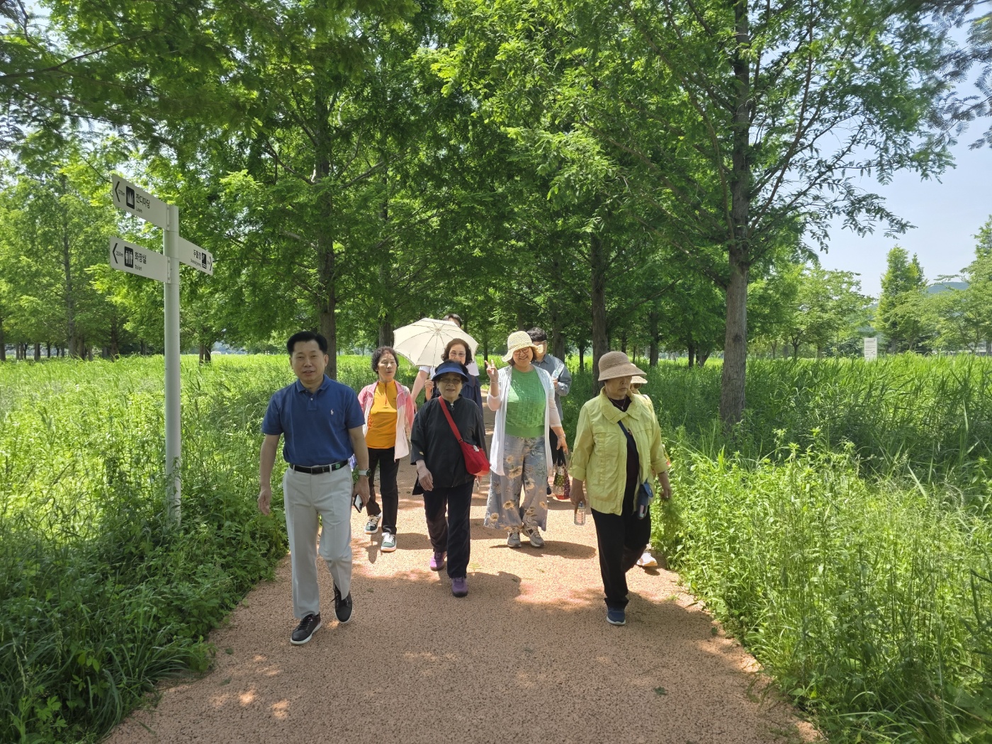 a81e90f691d5a.jpg