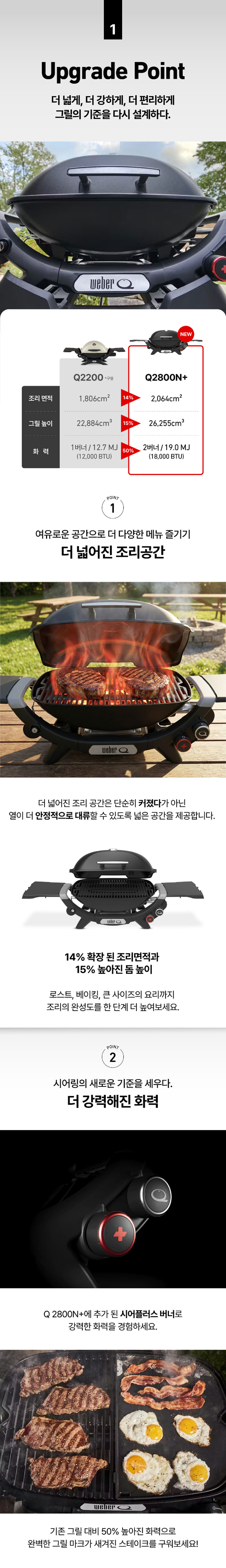 Q2800N+ 가스 그릴 블랙