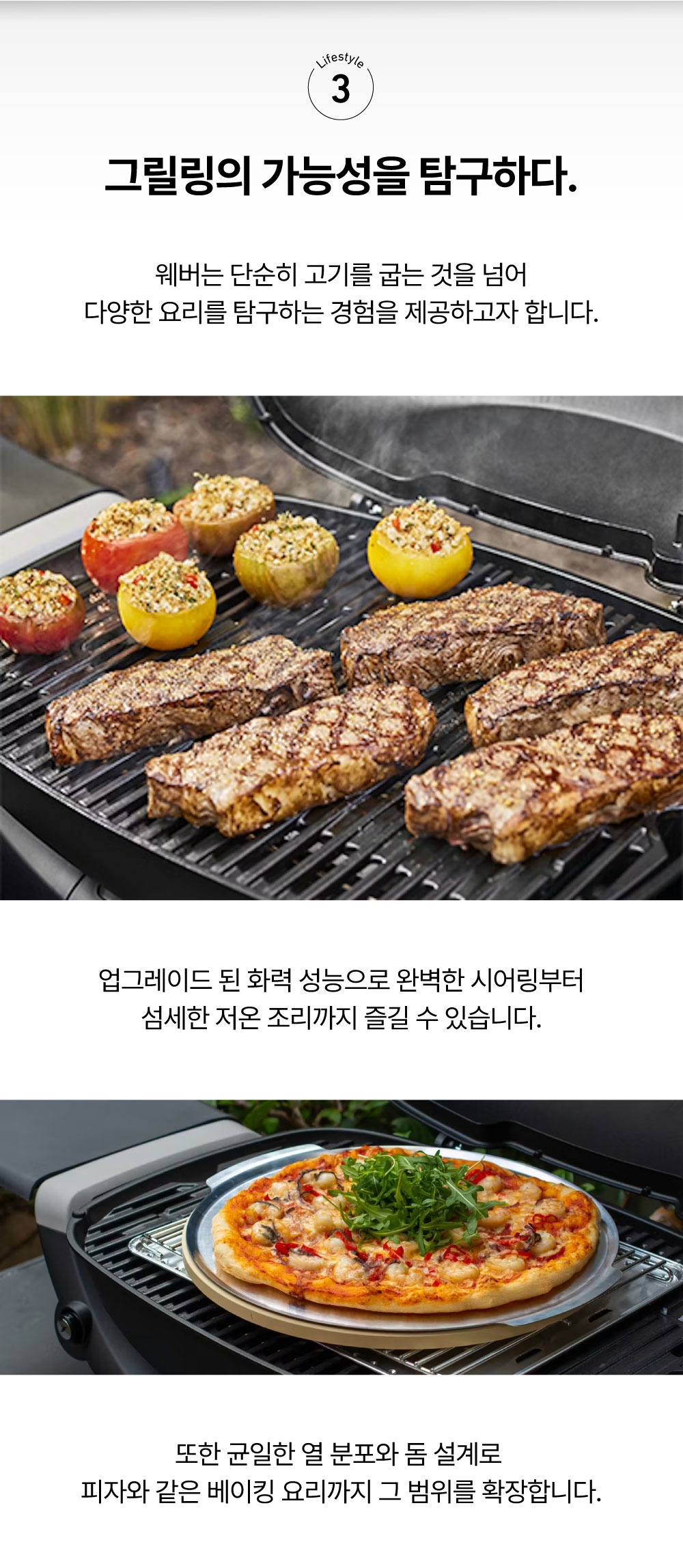 Q2800N+ 가스 그릴 블랙