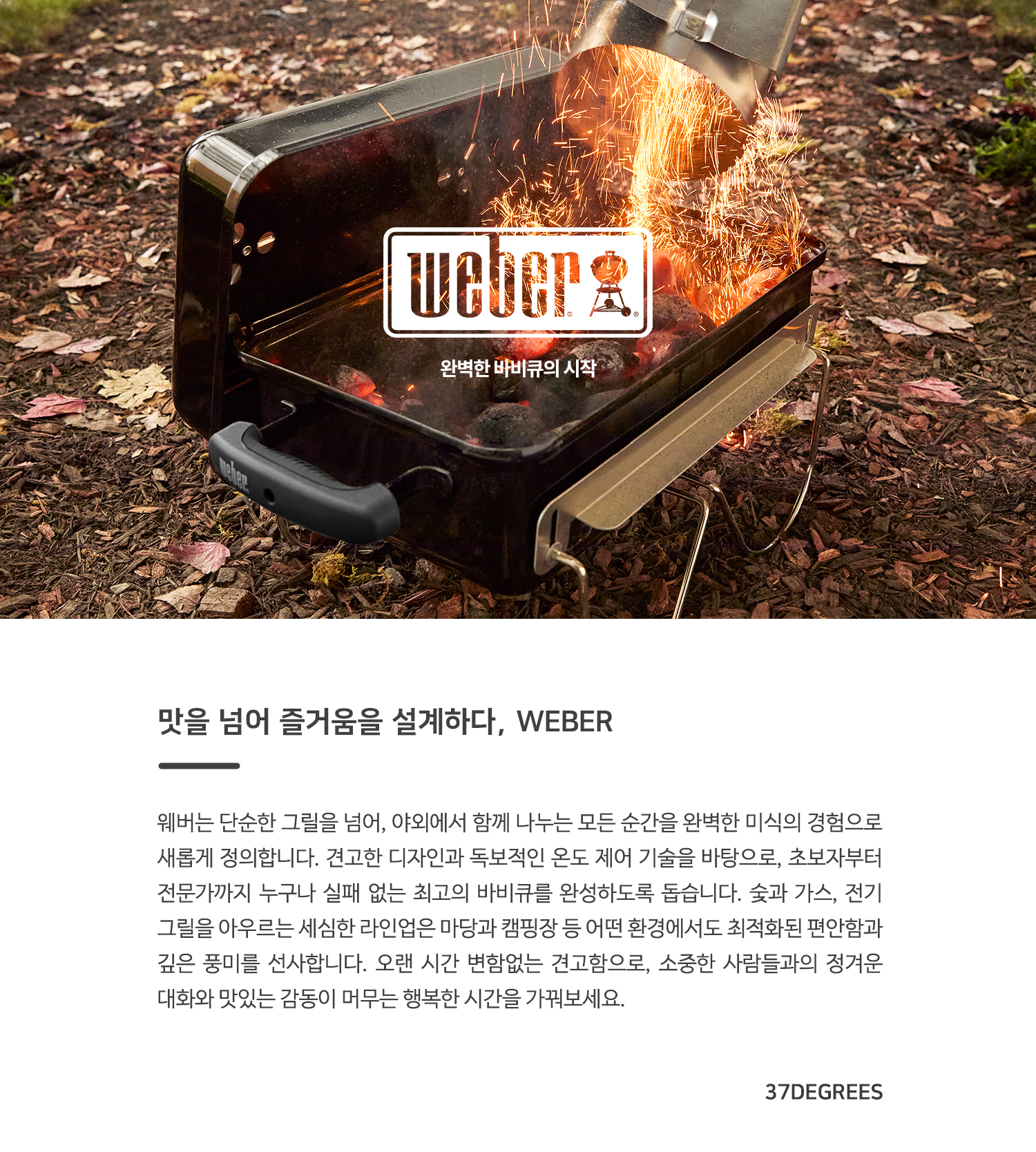 사과 훈연칩
