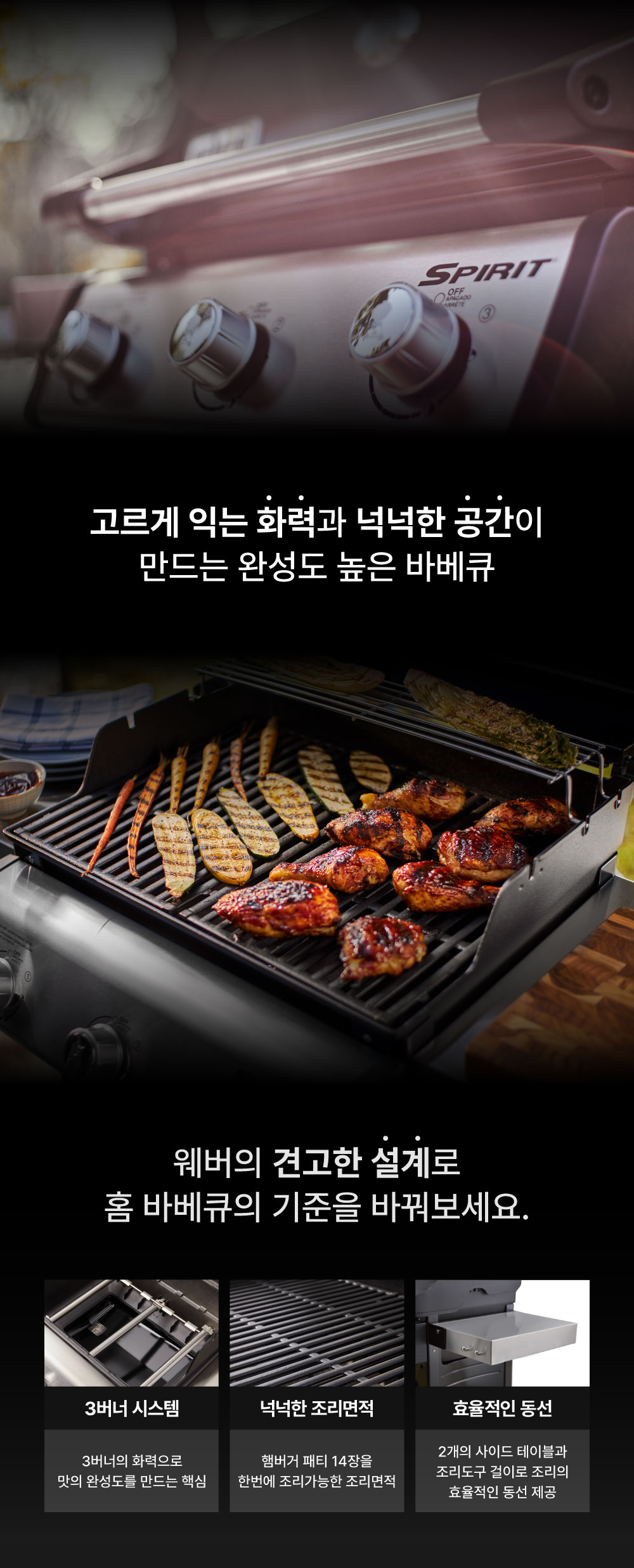 스피릿 E-315 LP 가스 그릴