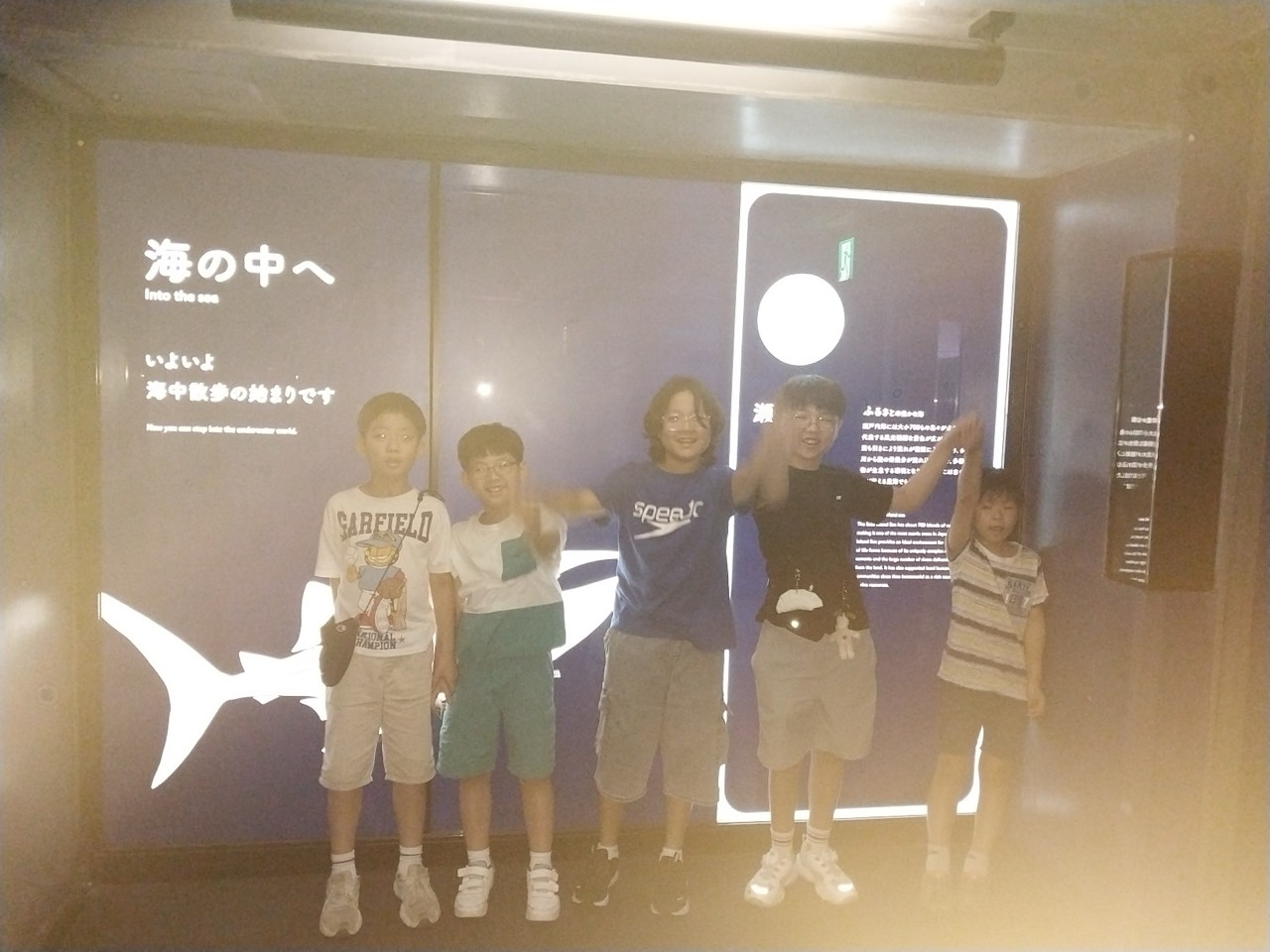 e9e5bb87e2803.jpg