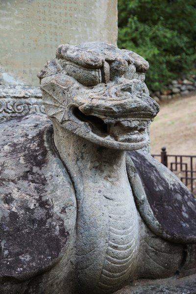 보조선사 탑비의 귀부(거북모양의 돌)의 생생한 모습의 거북머리돌