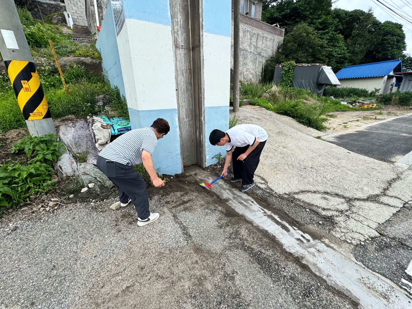 6d43369152a7d.jpg