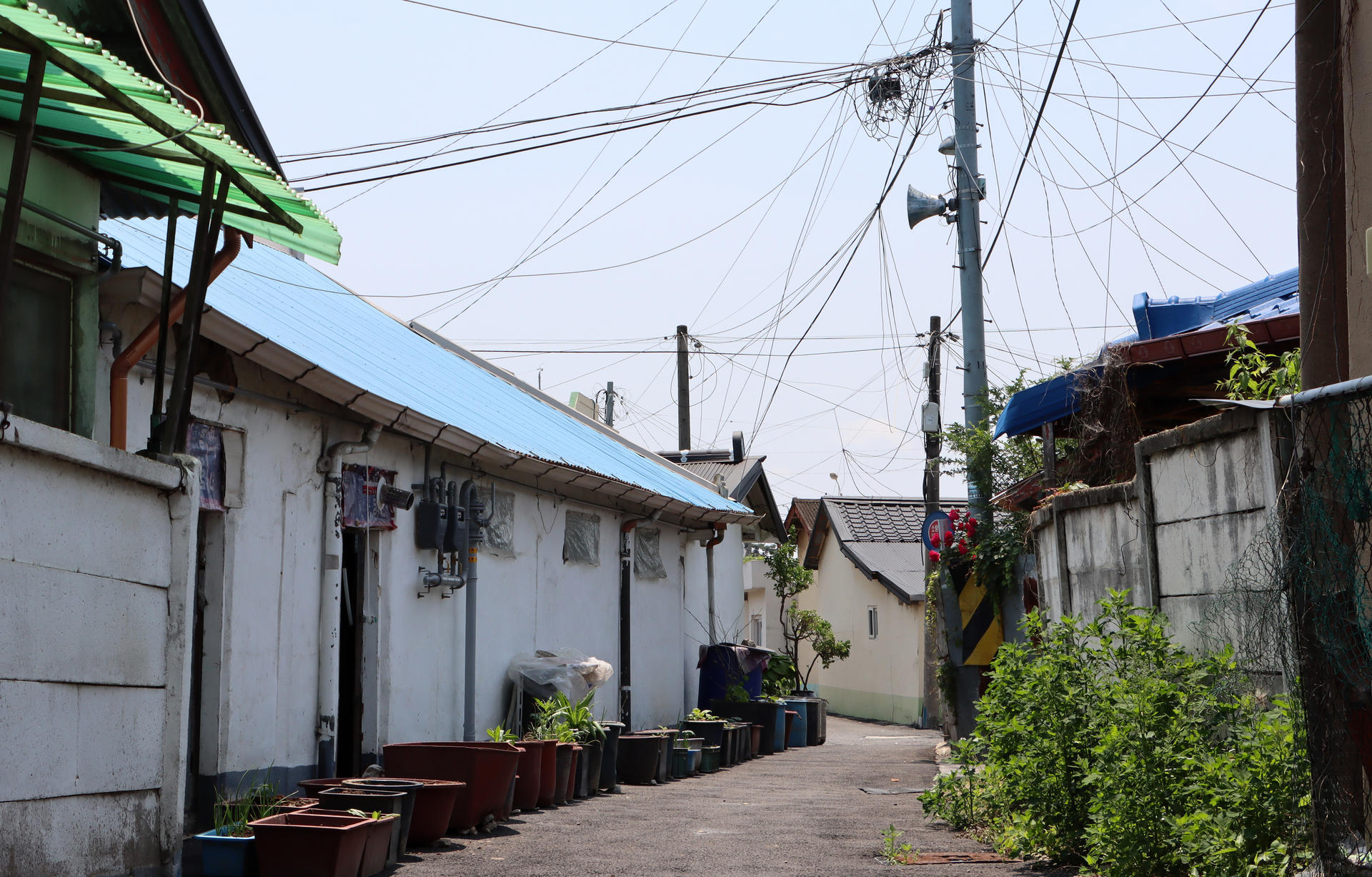 동네한바퀴] 취암동 화지4통 