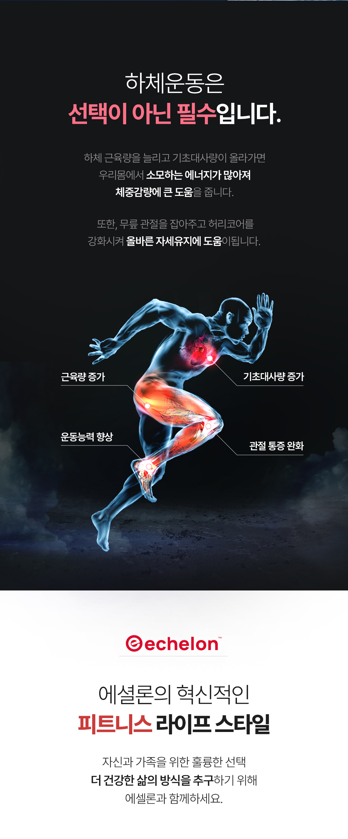 고고런] 에셜론 스테어 클라이머 맥스